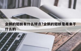 企鹅的翅膀有什么特点?企鹅的翅膀是用来干什么的